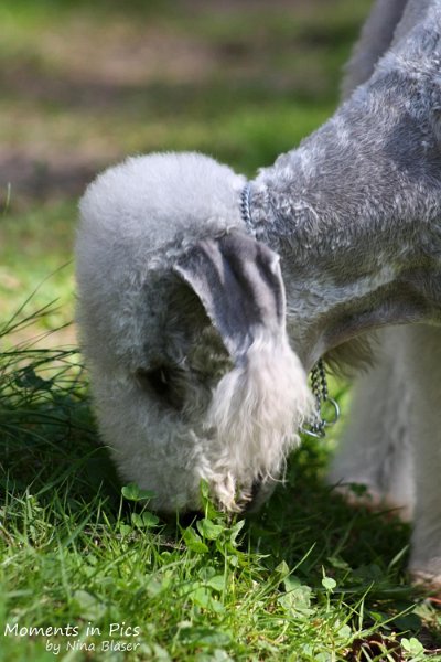 2010-05-29 Alanna und Svet (27).jpg - Arc-en-ciel Alanna 2010-05-29